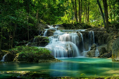 Deep forest waterfall in natural surroundings