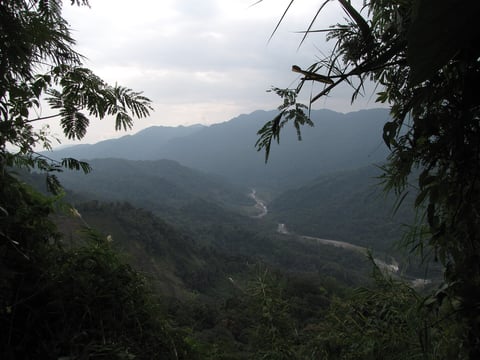 Mountain valley landscape with winding river below, dense green forest, and misty peaks under cloudy sky framed by tree branches