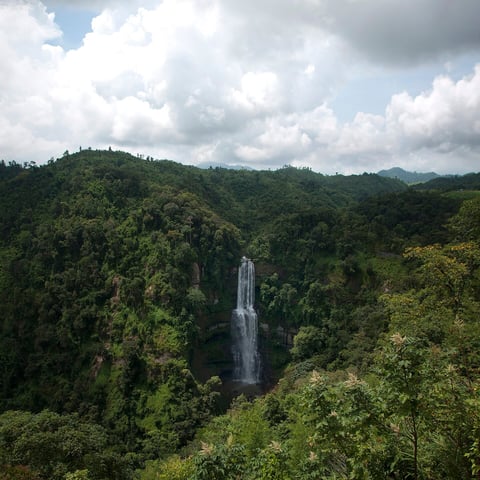 Waterfall cascading through dense tropical rainforest with lush green vegetation and cloudy sky